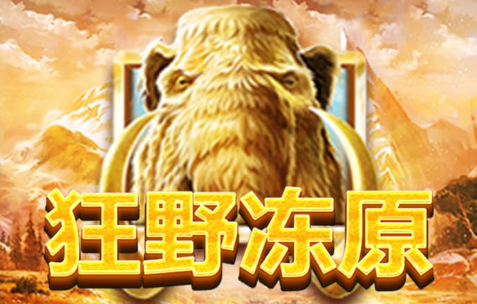 c7官网版下载截图0